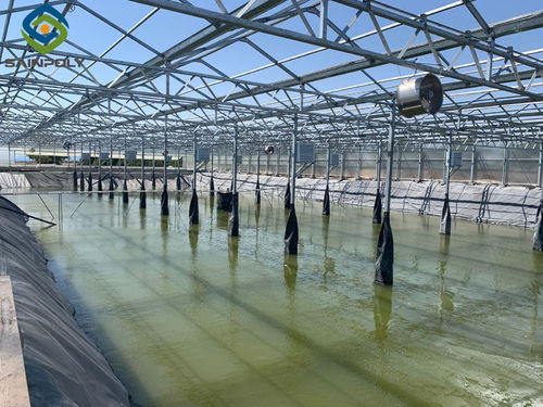 Latest company case about Greenhouse project in Cyprus