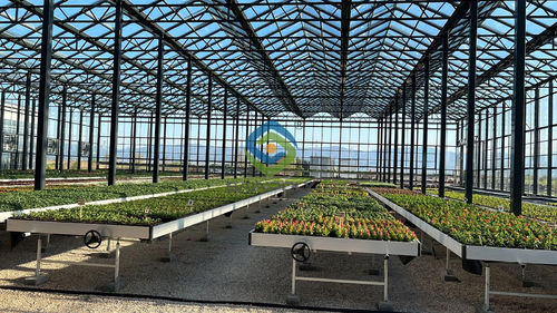 Latest company case about Greenhouse project in Bulgaria