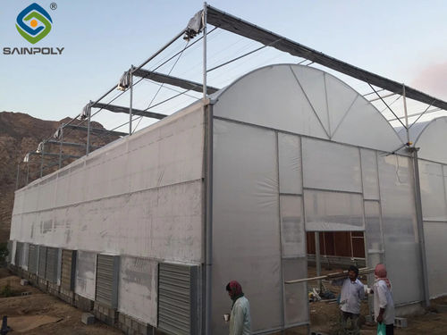 Latest company case about Greenhouse project in Dubai