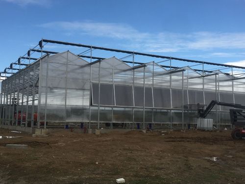 Latest company case about Greenhouse project in France
