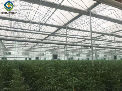 Latest company case about Greenhouse in Uzbekistan