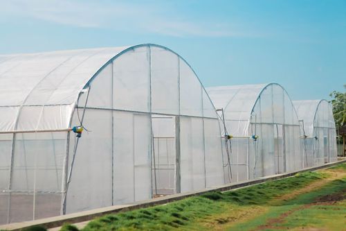 Latest company case about Greenhouse project in Indonesia