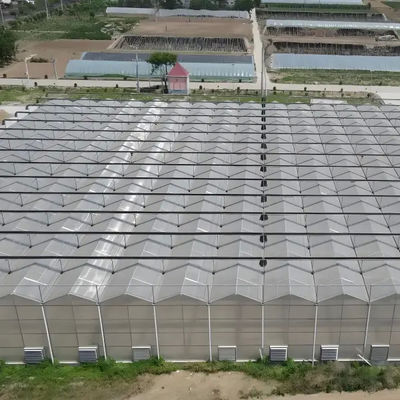 quality  UV-Resistant PC Sheet Venlo-Type Greenhouse Equipped with Ebb-and-Flow Seedbeds and Humidity Regulation Systems factory