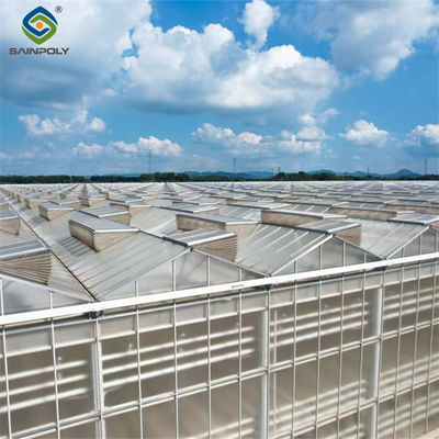 quality  Multi Span Venlo Greenhouse Agricultural Polycarbonate Green House factory