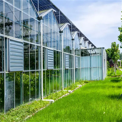 quality  Venlo Glass Greenhouse for Flower Growing with Substrate Culture factory