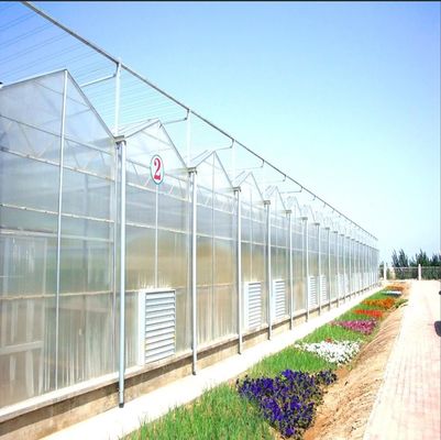 quality  Intelligent Venlo - Type  Aluminum profile customized  polycarbonate  Greenhouse With Shading Systems factory