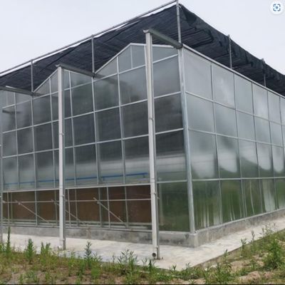 quality  Venlo Dutch Type Multi Span Greenhouse with Hydroponic Growing System Agriculture Equipment factory