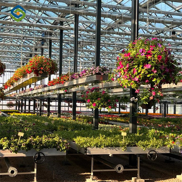 Multi Span Venlo Style Greenhouse Climate Control For Vegetable And Flowers