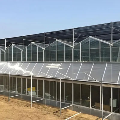 Landwirtschaftliche Venlo Gewerbliches Glas Gewächshaus Breite 9,6 m mit hydroponischem System