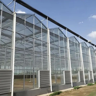 Modern Venlo Glass Greenhouse Of Plant Tomato Cucumbers Beautiful And Sturdy With High Wind Resistance