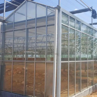 Landwirtschaftliche Venlo Gewerbliches Glas Gewächshaus Breite 9,6 m mit hydroponischem System
