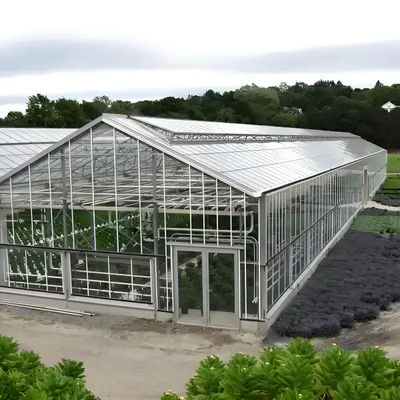 Modern Venlo Glass Greenhouse Of Plant Tomato Cucumbers Beautiful And Sturdy With High Wind Resistance