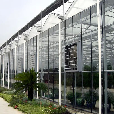 Wasserdichtes Indoor-Tomaten-Venlo-Gewächshaus-Geschäft zu verkaufen. Montage des Hydrokultursystems erforderlich. Gewächshaus