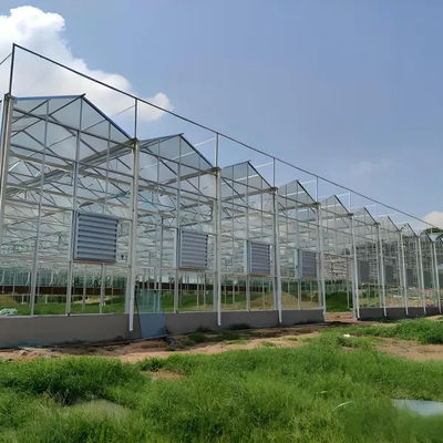 UV Resistant Mutli Span Flower Greenhouse Venlo Type Waterproof