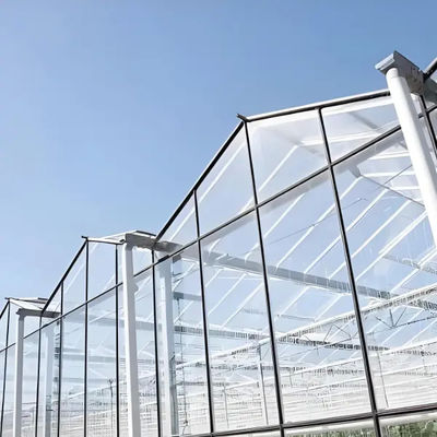 Landwirtschaftliche Venlo Gewerbliches Glas Gewächshaus Breite 9,6 m mit hydroponischem System