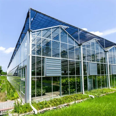 UV Resistant Mutli Span Flower Greenhouse Venlo Type Waterproof