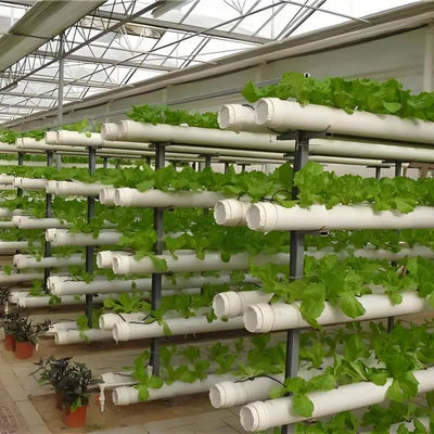 Aluminum profile customized greenhouse energy-saving Venlo stype glass polycarbonate greenhouse