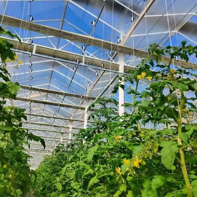 New Products Ultraviolet-Proof Farming Venlo stype greenhouse with hydroponics systems