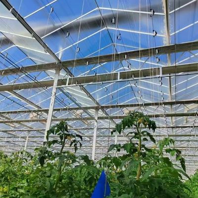New Products Intelligent Modern systems Farming Venlo Greenhouse Structure design