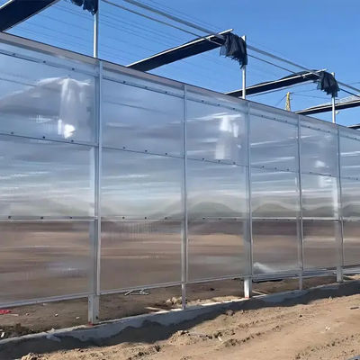 Agricultural Polycarbonate Greenhouse Venlo Dutch Greenhouse System for vegetables