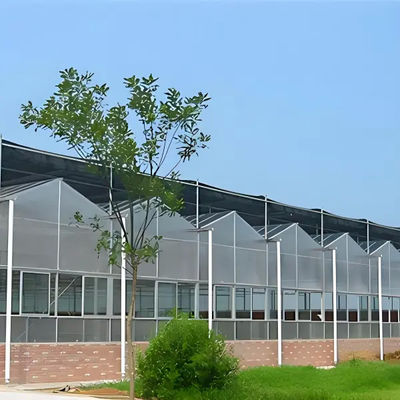 Venlo Greenhouse Commercial Polycarbonate Greenhouse For Seeds Vegetables Hydroponic Tomato Cucumber