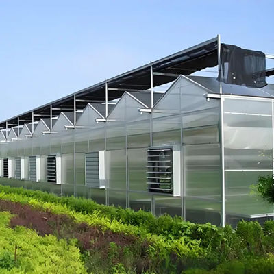 Venlo Multi Span Custom Glass Greenhouse For Vegetables Farming Growing
