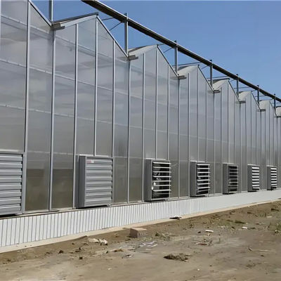 Venlo Multi Span Custom Glass Greenhouse For Vegetables Farming Growing