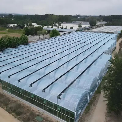 Greenhouse Commercial Greenhouse Multi-span Vegetable Seeding Agricultural Frame Venlo Polycarbonate Greenhouse