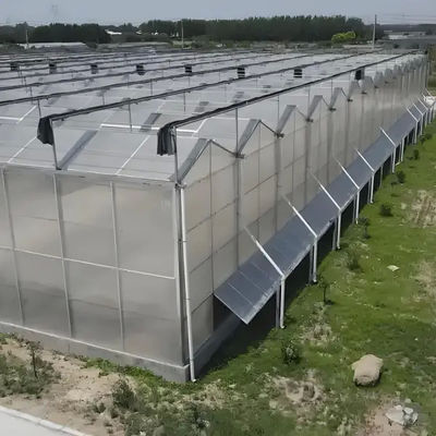 Aluminum profile customized greenhouse energy-saving Venlo stype glass polycarbonate greenhouse