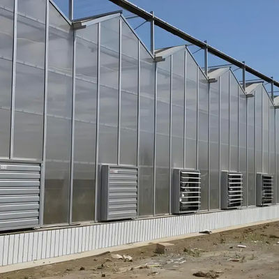 Agricultural Multispan Venlo Greenhouse Complete Hydroponic Nft Greenhouse
