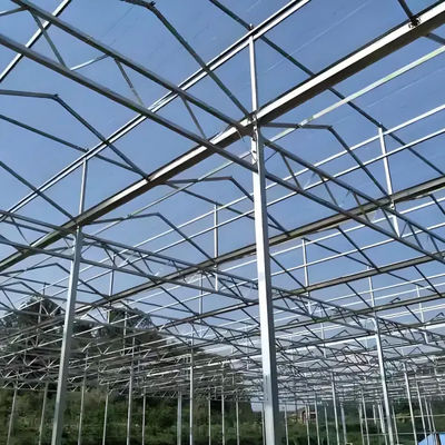 Greenhouse Hot Sale Tomato Green House Venlo Polycarbonate Hydroponics Greenhouse Frame For Sale