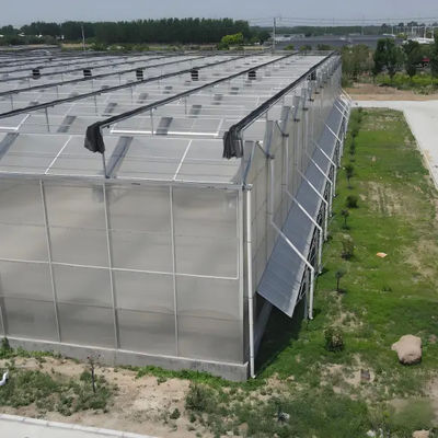 Strong type greenhouse for plants greenhouse Polycarbonate greenhouse for sale