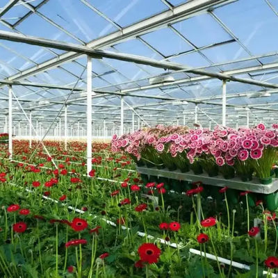 Multi Span Metel frame Smart type Venlo Polycarbonate Greenhouse for Agricultural