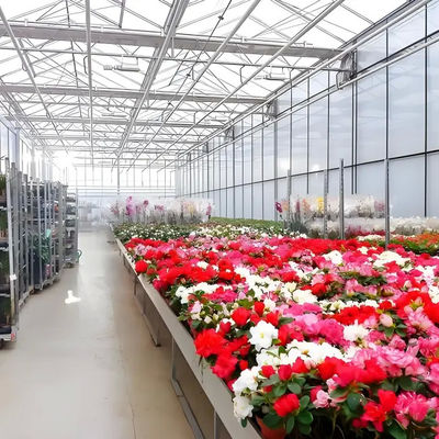 Greenhouse Quality Agricultural Greenhouse Hydroponics Dutch Venlo Polycarbonate Greenhouse For Tomato flower And Cucumber