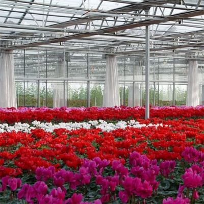 Nhà kính Venlo polycarbonate bền cho trồng cúc vạn thọ