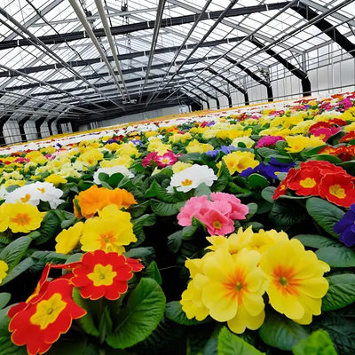 UV Resistant Mutli Span Flower Greenhouse Venlo Type Waterproof