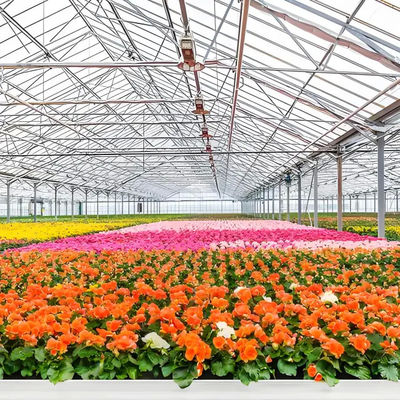 Hydroponic System Venlo Greenhouse Easy Insulation Commercial Glass Greenhouse