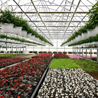 Nhà kính Venlo polycarbonate bền cho trồng cúc vạn thọ