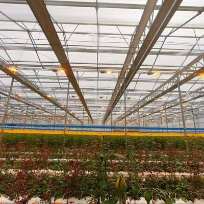 Nhà kính kính đa nhịp Venlo tùy chỉnh để trồng lan
