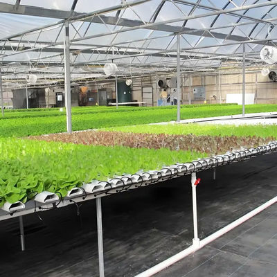 Greenhouse Commercial Greenhouse flower seedling vegetable Agricultural Frame venlo polycarbonate greenhouse