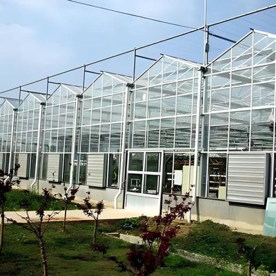 Sainpoly Hydroponic Lettuce Venlo Greenhouse Tunnel Green House Customized