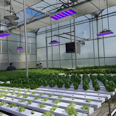 Sainpoly Hydroponic Lettuce Venlo Greenhouse Tunnel Green House Customized