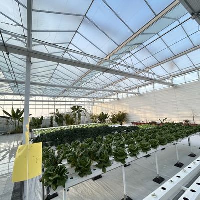 High Quality Modern Greenhouse Frame Structure For Special Commercial Agriculture