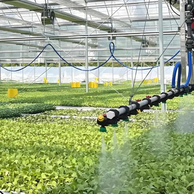 Venlo Glass Greenhouse for Lettuce Hydroponics Stable Structure
