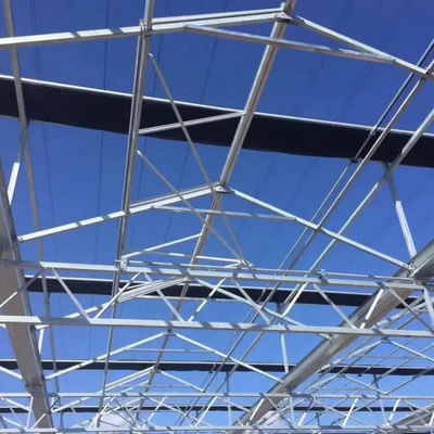 Soilless cultivation Commercial Venlo type multi span glass greenhouse 