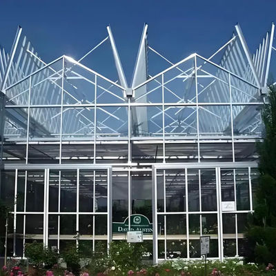 Greenhouse Commercial Greenhouse Venlo Dutch Greenhouse for vegetables