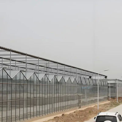 Hot Sale Smart Galvanized Steel Venlo Greenhouse For Agriculture