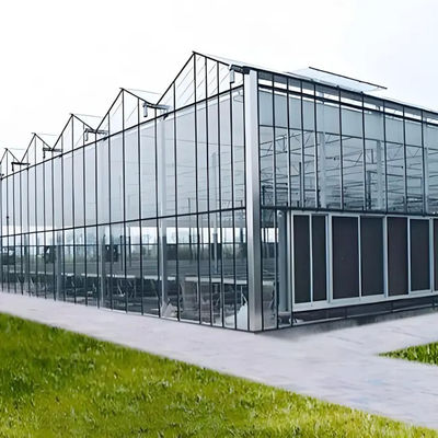 Galvanized Steel Venlo Greenhouse Commercial Polycarbonate Greenhouse With Hydroponic Growing System