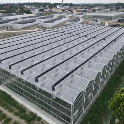 Hot Sale Smart Galvanized Steel Venlo Greenhouse For Agriculture