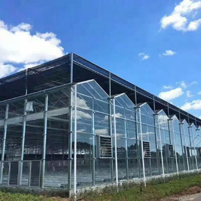 High Quality Modern Greenhouse Frame Structure For Special Commercial Agriculture